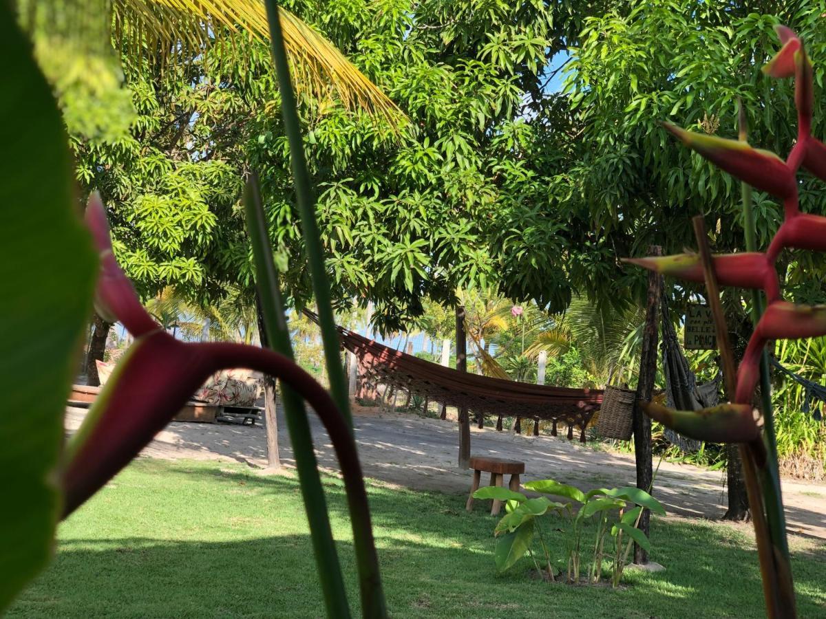 Ocacocar - Milagres Villa เซามิเกลโดสมีลาเกรส ภายนอก รูปภาพ